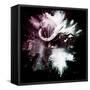 Wild Explosion Square Collection - The Cape Buffalo-Philippe Hugonnard-Framed Stretched Canvas