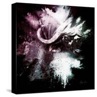 Wild Explosion Square Collection - The Cape Buffalo-Philippe Hugonnard-Stretched Canvas