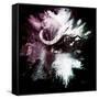 Wild Explosion Square Collection - The Cape Buffalo-Philippe Hugonnard-Framed Stretched Canvas