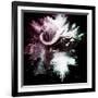 Wild Explosion Square Collection - The Cape Buffalo-Philippe Hugonnard-Framed Art Print