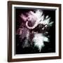 Wild Explosion Square Collection - The Cape Buffalo-Philippe Hugonnard-Framed Art Print