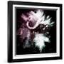 Wild Explosion Square Collection - The Cape Buffalo-Philippe Hugonnard-Framed Art Print