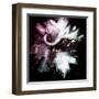 Wild Explosion Square Collection - The Cape Buffalo-Philippe Hugonnard-Framed Art Print