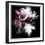 Wild Explosion Square Collection - The Cape Buffalo-Philippe Hugonnard-Framed Art Print