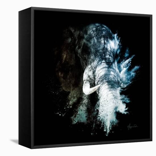 Wild Explosion Square Collection - The Elephant II-Philippe Hugonnard-Framed Stretched Canvas