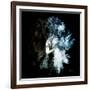 Wild Explosion Square Collection - The Elephant II-Philippe Hugonnard-Framed Art Print