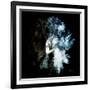 Wild Explosion Square Collection - The Elephant II-Philippe Hugonnard-Framed Art Print