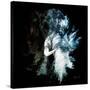 Wild Explosion Square Collection - The Elephant II-Philippe Hugonnard-Stretched Canvas