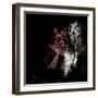 Wild Explosion Square Collection - The Elephant-Philippe Hugonnard-Framed Art Print