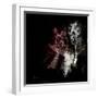 Wild Explosion Square Collection - The Elephant-Philippe Hugonnard-Framed Art Print