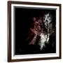 Wild Explosion Square Collection - The Elephant-Philippe Hugonnard-Framed Art Print