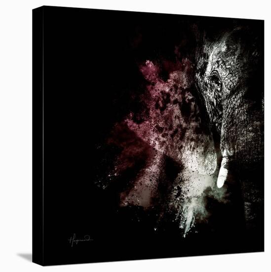 Wild Explosion Square Collection - The Elephant-Philippe Hugonnard-Stretched Canvas