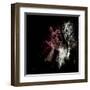 Wild Explosion Square Collection - The Elephant-Philippe Hugonnard-Framed Art Print