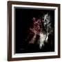 Wild Explosion Square Collection - The Elephant-Philippe Hugonnard-Framed Art Print