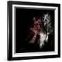 Wild Explosion Square Collection - The Elephant-Philippe Hugonnard-Framed Art Print