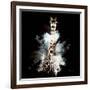 Wild Explosion Square Collection - The Giraffe-Philippe Hugonnard-Framed Art Print