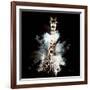 Wild Explosion Square Collection - The Giraffe-Philippe Hugonnard-Framed Art Print