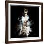 Wild Explosion Square Collection - The Giraffe-Philippe Hugonnard-Framed Art Print