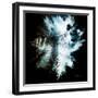 Wild Explosion Square Collection - The Hyena-Philippe Hugonnard-Framed Art Print