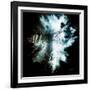 Wild Explosion Square Collection - The Hyena-Philippe Hugonnard-Framed Art Print