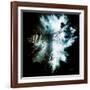 Wild Explosion Square Collection - The Hyena-Philippe Hugonnard-Framed Art Print