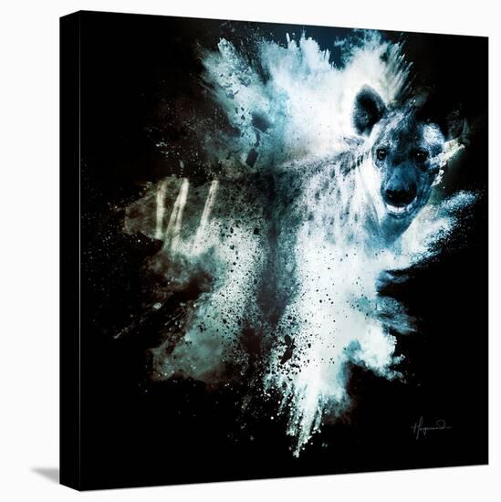 Wild Explosion Square Collection - The Hyena-Philippe Hugonnard-Stretched Canvas