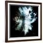 Wild Explosion Square Collection - The Hyena-Philippe Hugonnard-Framed Art Print