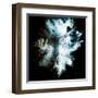 Wild Explosion Square Collection - The Hyena-Philippe Hugonnard-Framed Art Print