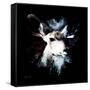 Wild Explosion Square Collection - The Impala II-Philippe Hugonnard-Framed Stretched Canvas