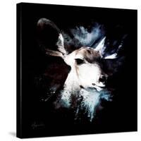 Wild Explosion Square Collection - The Impala II-Philippe Hugonnard-Stretched Canvas