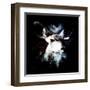 Wild Explosion Square Collection - The Impala II-Philippe Hugonnard-Framed Art Print