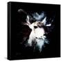 Wild Explosion Square Collection - The Impala II-Philippe Hugonnard-Framed Stretched Canvas