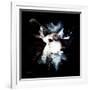 Wild Explosion Square Collection - The Impala II-Philippe Hugonnard-Framed Premium Giclee Print