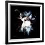 Wild Explosion Square Collection - The Impala II-Philippe Hugonnard-Framed Premium Giclee Print