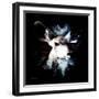 Wild Explosion Square Collection - The Impala II-Philippe Hugonnard-Framed Art Print