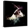 Wild Explosion Square Collection - The Impala-Philippe Hugonnard-Framed Stretched Canvas