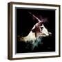 Wild Explosion Square Collection - The Impala-Philippe Hugonnard-Framed Art Print