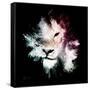 Wild Explosion Square Collection - The Lion-Philippe Hugonnard-Framed Stretched Canvas