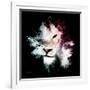 Wild Explosion Square Collection - The Lion-Philippe Hugonnard-Framed Premium Giclee Print