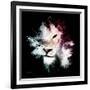 Wild Explosion Square Collection - The Lion-Philippe Hugonnard-Framed Premium Giclee Print