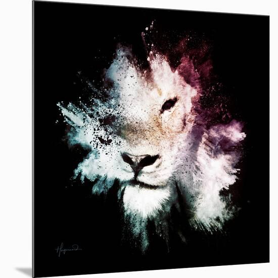 Wild Explosion Square Collection - The Lion-Philippe Hugonnard-Mounted Premium Giclee Print