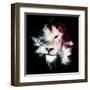 Wild Explosion Square Collection - The Lion-Philippe Hugonnard-Framed Art Print