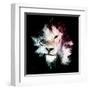 Wild Explosion Square Collection - The Lion-Philippe Hugonnard-Framed Art Print