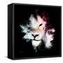 Wild Explosion Square Collection - The Lion-Philippe Hugonnard-Framed Stretched Canvas