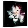 Wild Explosion Square Collection - The Lion-Philippe Hugonnard-Stretched Canvas