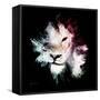 Wild Explosion Square Collection - The Lion-Philippe Hugonnard-Framed Stretched Canvas