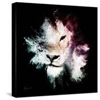 Wild Explosion Square Collection - The Lion-Philippe Hugonnard-Stretched Canvas