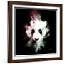 Wild Explosion Square Collection - The Panda-Philippe Hugonnard-Framed Art Print