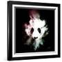 Wild Explosion Square Collection - The Panda-Philippe Hugonnard-Framed Art Print