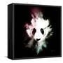Wild Explosion Square Collection - The Panda-Philippe Hugonnard-Framed Stretched Canvas